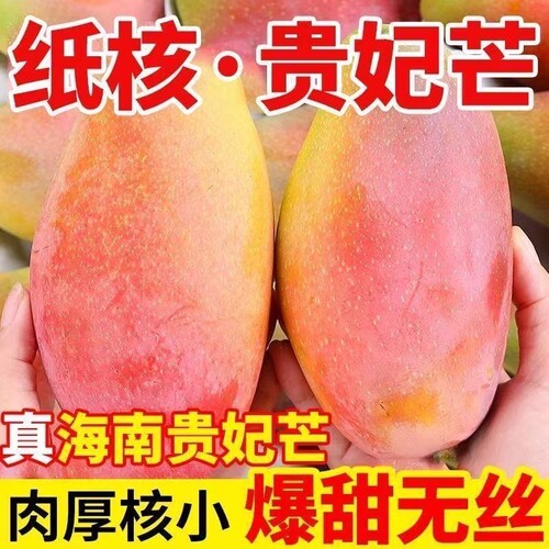海南贵妃芒果新鲜现摘红金龙薄皮甜心芒应当季孕妇水果