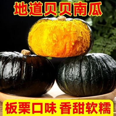 新鲜正宗贝贝南瓜甜糯宝宝辅食