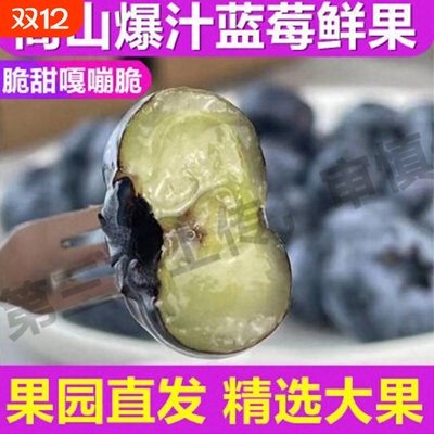 云南花香蓝莓鲜果当季孕妇蓝莓高山L25花香新鲜水果现摘顺丰空运
