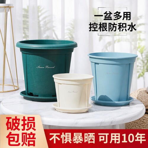 新款加厚控根盆|回头客超2000人
