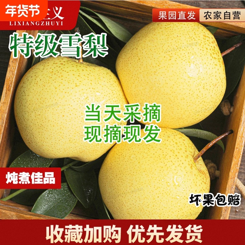 正宗河北赵县雪花梨特产雪梨新鲜水果梨子10斤当季采摘大果包邮,水产肉类/新鲜蔬果/熟食,梨,淘宝优惠券,粉丝福利购,淘宝优惠卷