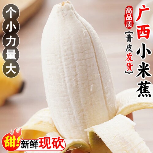 广西小米蕉baby香蕉青皮需催熟