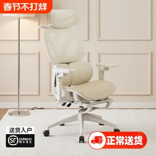 人体工学椅子女生电脑椅学习舒适久坐电竞椅可躺办公室动态座椅
