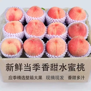 现摘水蜜桃霸王脆4.5斤单果130g