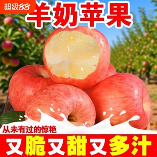 脆甜新鲜正宗山西万荣羊奶苹果应季红富士孕妇整箱水果回购多汁