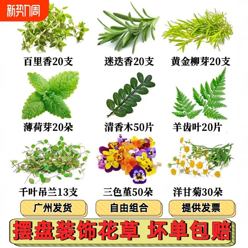 新鲜摆盘装饰花草薄荷芽三色堇清香木叶子羊齿叶饮品调酒蛋糕咖啡