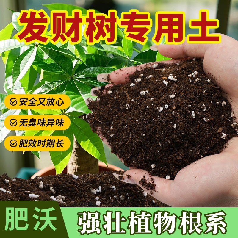发财树专用营养土花土肥料专用肥土家用盆栽绿植种植土植物