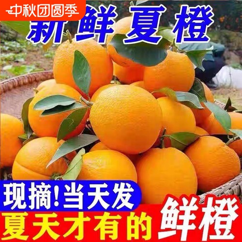 正宗江西脐橙夏橙新鲜橙子水果当季现摘手剥冰糖甜橙大果整箱包邮