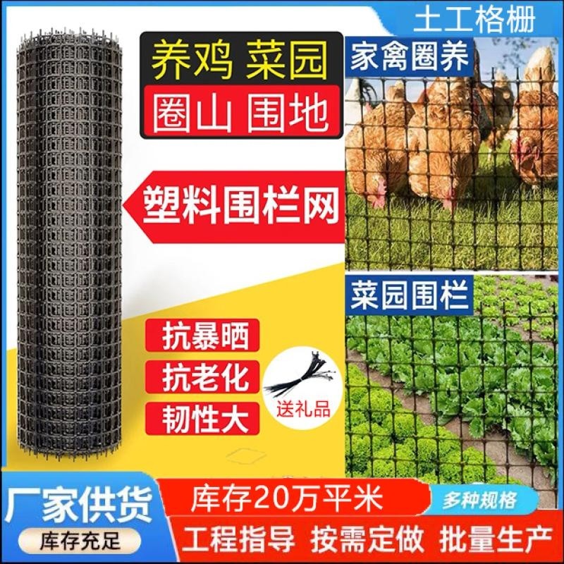 养鸡玉米塑料养殖批发圈网鱼塘山果鸡防护网网格拦园圈网厂家网圈