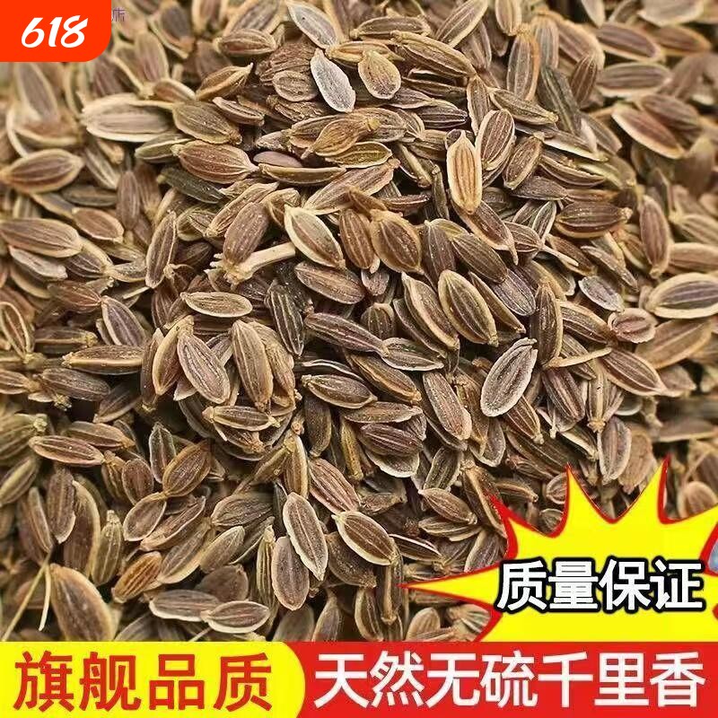 千里香 500g九里香百里香莳萝籽火锅卤菜香料 天然增香调味料调料