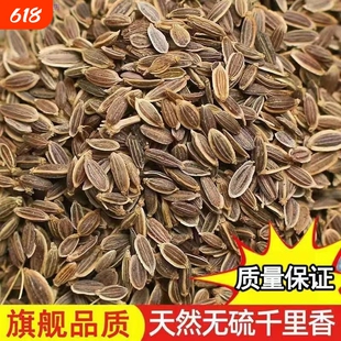 千里香 500g九里香百里香莳萝籽火锅卤菜香料 天然增香调味料调料
