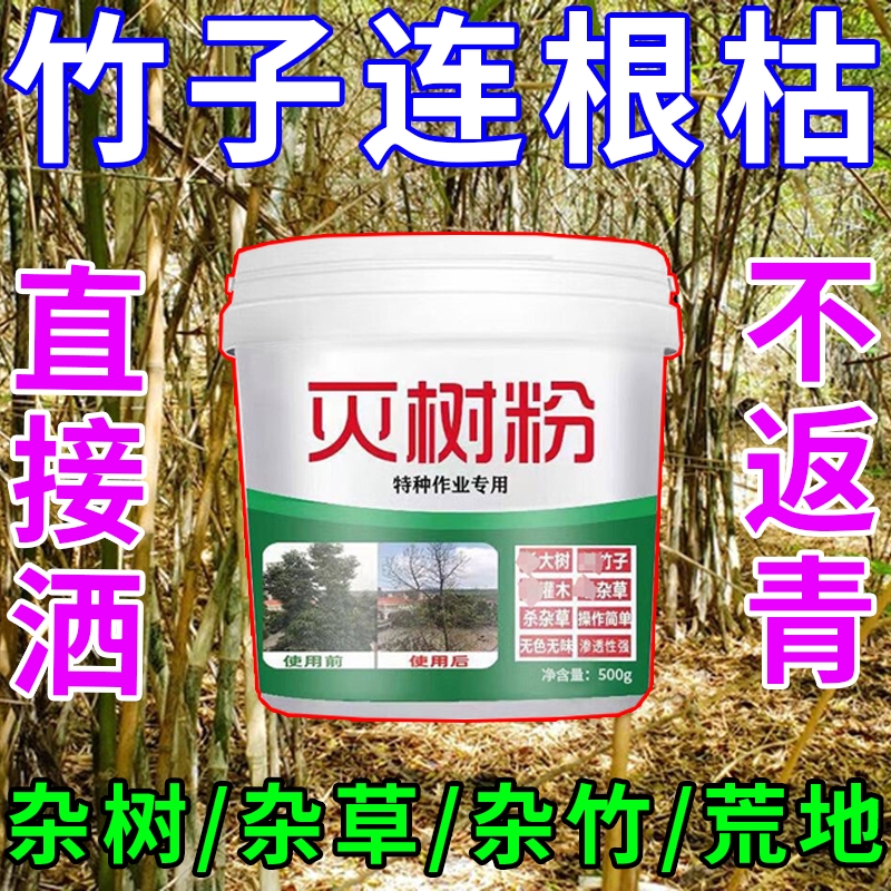 竹子烂根专用药竹根连根除杂草大树烂根强力粉剂枯树王腐树灭根