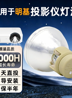 适用SHARP夏普XV-Z600A  FZ690A ST350A ST380A SW350A  H58XA 投影机仪灯泡