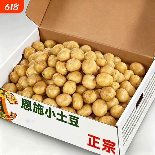 现挖恩施小土豆新鲜洋芋