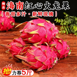 老树果火龙果红心新鲜红肉细腻鲜嫩圆润饱满大果当季水果农家现摘
