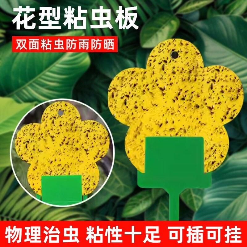 花型黄色粘虫板双面诱粘虫板小黑飞粘板家用花卉粘虫纸果蝇诱捕器