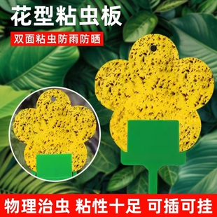 花型黄色粘虫板双面诱粘虫板小黑飞粘板家用花卉粘虫纸果蝇诱捕器