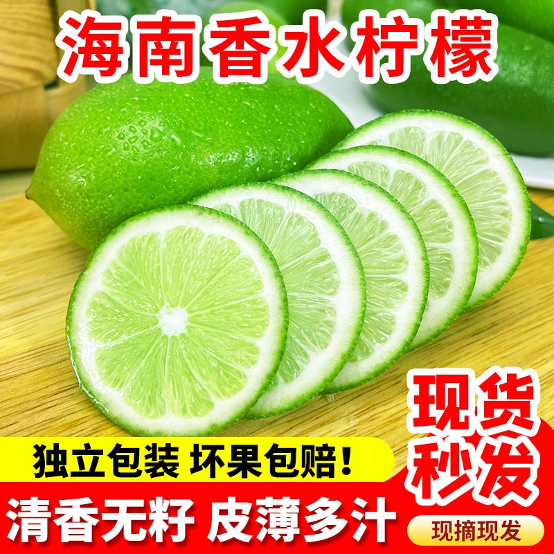 正宗海南香水柠檬新鲜水果整箱包邮子弹头无籽青柠檬奶茶茶饮专用