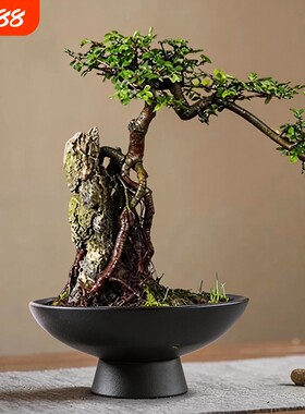 无孔花盆陶瓷家居摆件