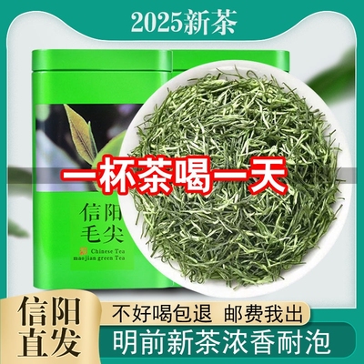 信阳毛尖绿茶明前嫩芽浓香型500g