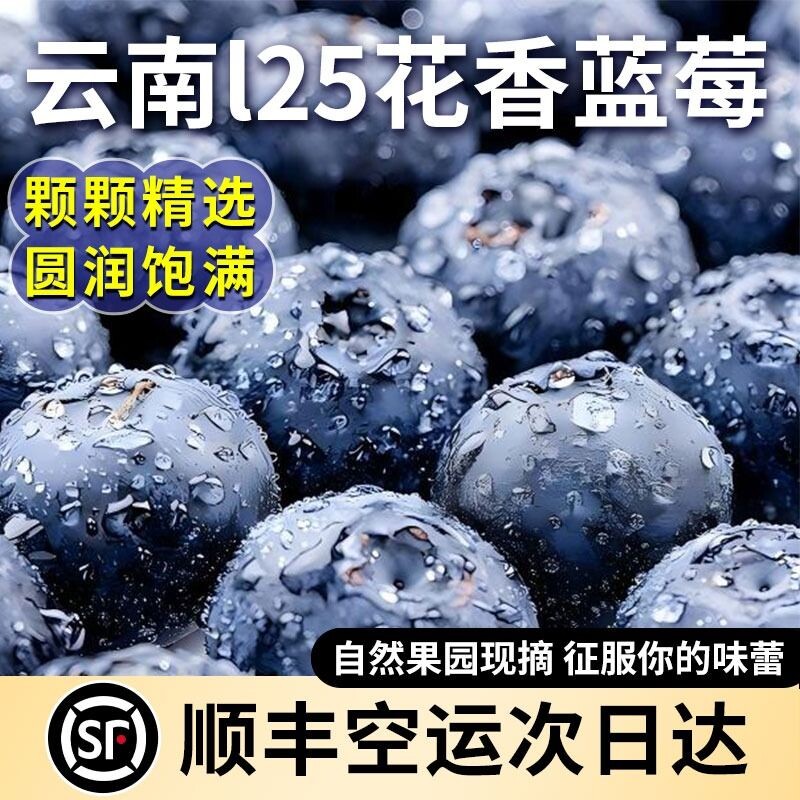 云南花香蓝莓新鲜水果特大果怡颗l25高山当季产地直发顺丰甜一颗