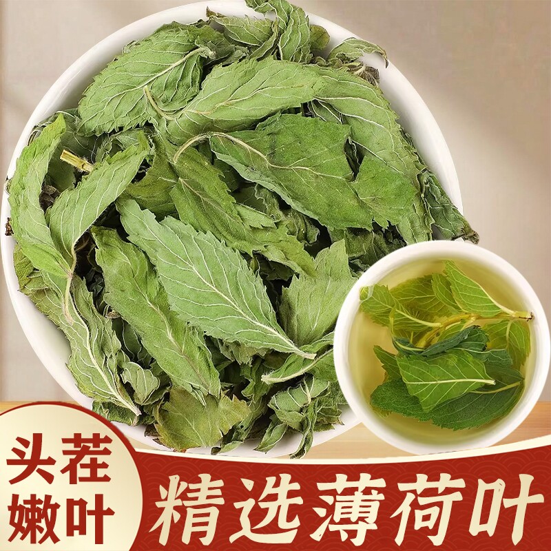 薄荷叶中药材新货无硫干薄荷叶泡茶泡水薄荷叶食用薄荷叶新鲜嫩叶