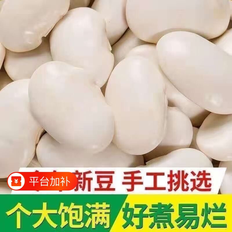 5斤白芸豆新货云南农家自产白豆雪豆炖汤大白云豆干货新鲜大粒