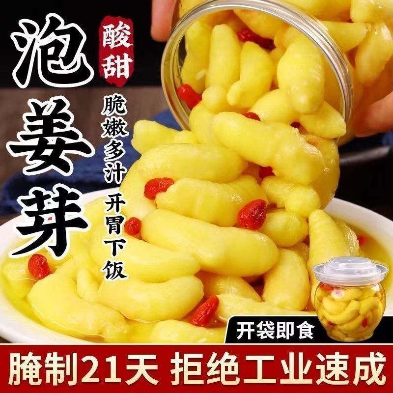 新鲜枸杞泡嫩姜芽仔姜糖醋嫩姜芽生姜腌制开袋即食香脆泡菜下饭菜