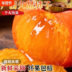 【广西无核薄皮软柿子】当季水果可晒柿饼水柿子青黄柿子整箱包邮