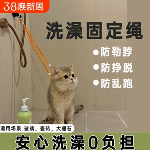 洗澡绳猫咪洗澡固定器美容神器猫绳子防跑防抓吊绳挂绳吸盘美容台
