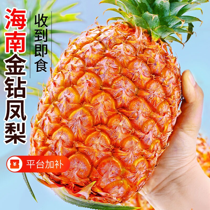 海南金钻凤梨9斤新鲜水果当季芒果手撕菠萝特产无眼包邮台农17号
