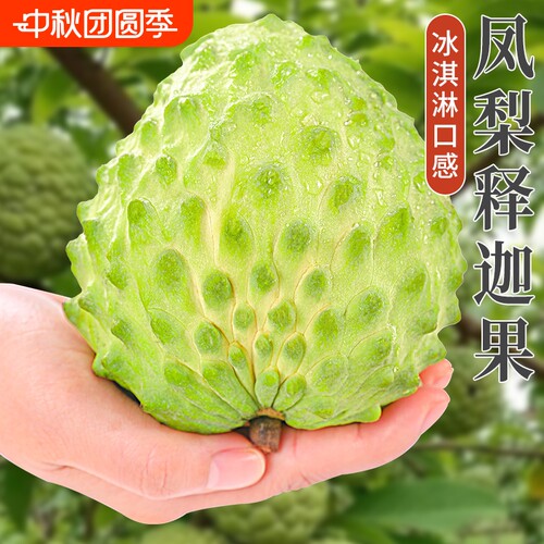 释迦果新鲜现摘当季水果顺丰包邮
