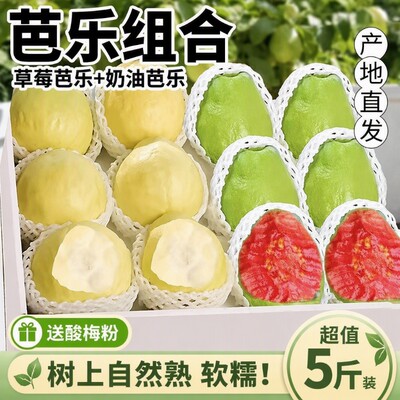 红白双拼芭乐大果|超2000次加购
