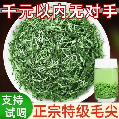 信阳毛尖2026新茶明前绿茶特级