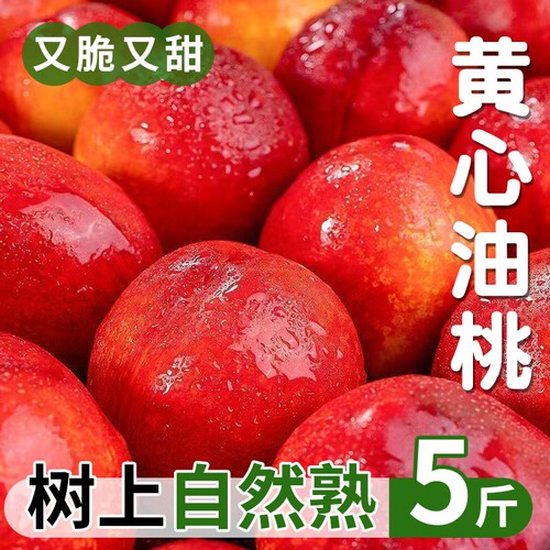 黄心油桃新鲜水果5斤桃子应当季整箱包邮蜜桃时令现摘采摘