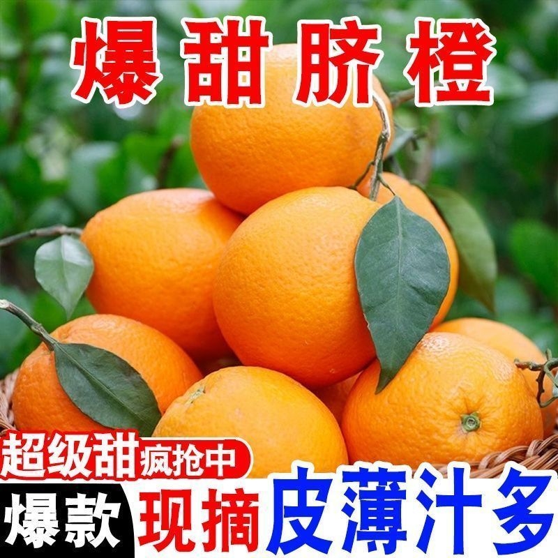正宗赣南脐橙精品橙子应季水果新鲜当季脐橙现摘现发果冻产地直供
