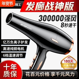 德国电吹风机家用理发店专用大功率发廊速干风筒负离子护发风力