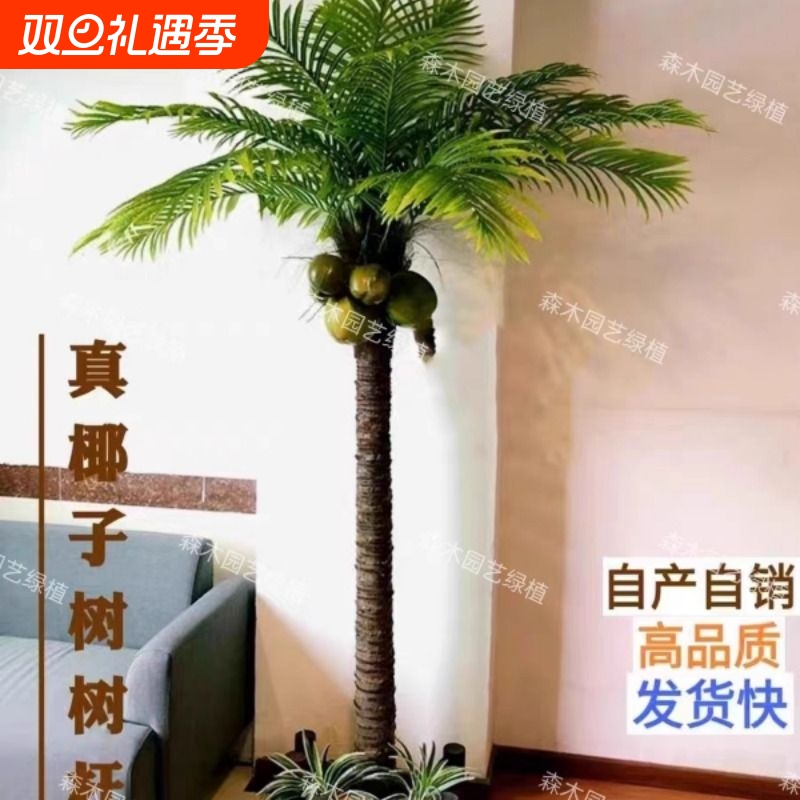 仿真椰子树假树室内外酒店商场装饰真树干椰树棕榈树落地摆放植物