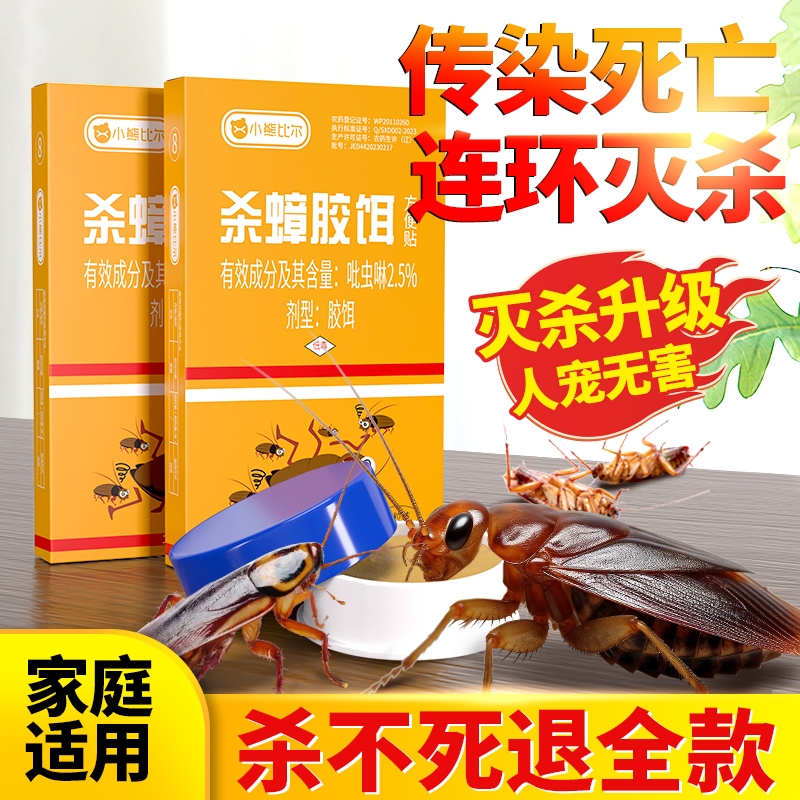 小熊比尔蟑螂药非无毒家用全窝端官方旗舰店宿舍用放衣柜胶饵便贴