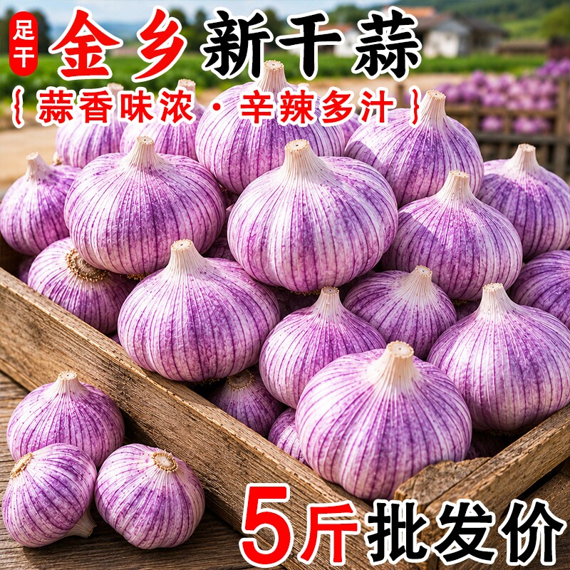 果王山东金乡新干蒜5斤大蒜干蒜大蒜头当季农家新鲜蔬菜紫皮送达 - 实物图