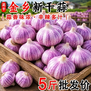 果王山东金乡新干蒜5斤大蒜干蒜大蒜头当季农家新鲜蔬菜紫皮送达