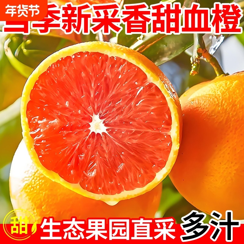 【中华红橙】正宗中华红橙四川产地多仓发货10斤新鲜橙子5斤大果