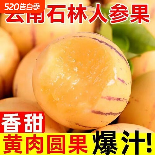 石林新鲜水果七彩黄肉圆果人叁果