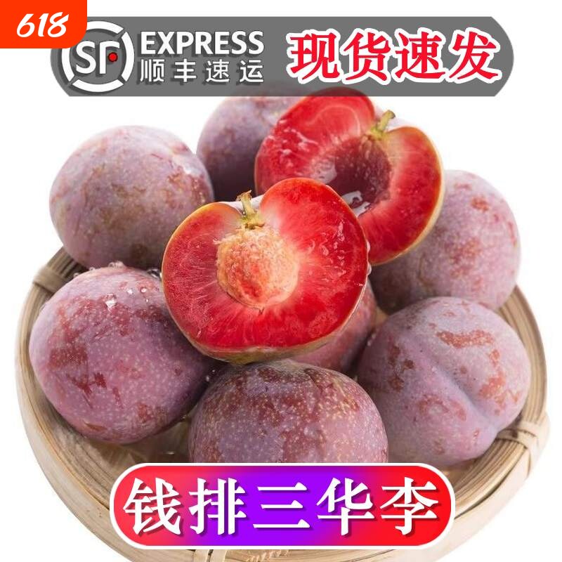 顺丰】信宜钱排三华李新鲜银妃礼盒大果红心李子当季李子孕妇水果