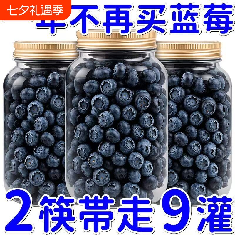 正宗蓝莓果干正品东北新货蓝莓干低脂儿童孕妇营养零食蓝梅干烘焙