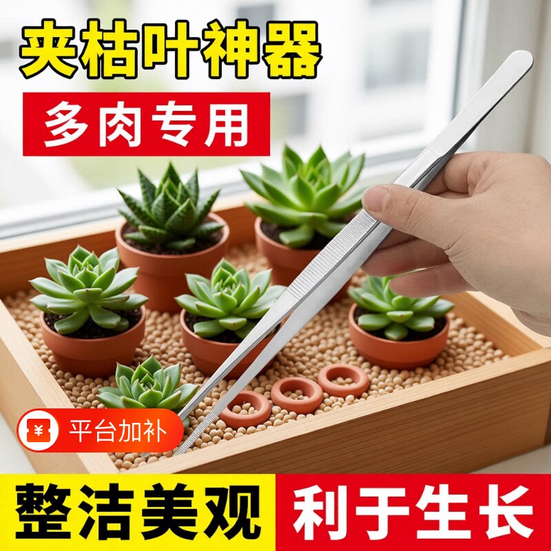 多肉专用不锈钢加长带齿大镊子鱼缸水草昆虫多肉园艺夹子镊子工具