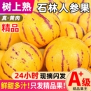 包邮 云南石林人参果新鲜水果树熟人生果当季 水果产地现发整箱9斤