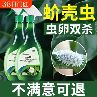 蚧壳虫杀虫剂多肉介壳虫药杀虫兰花疥虫花卉植物驱虫药非专用蚜虫