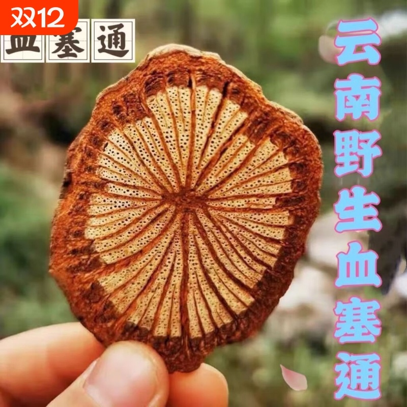 老树云南血塞通大片包邮