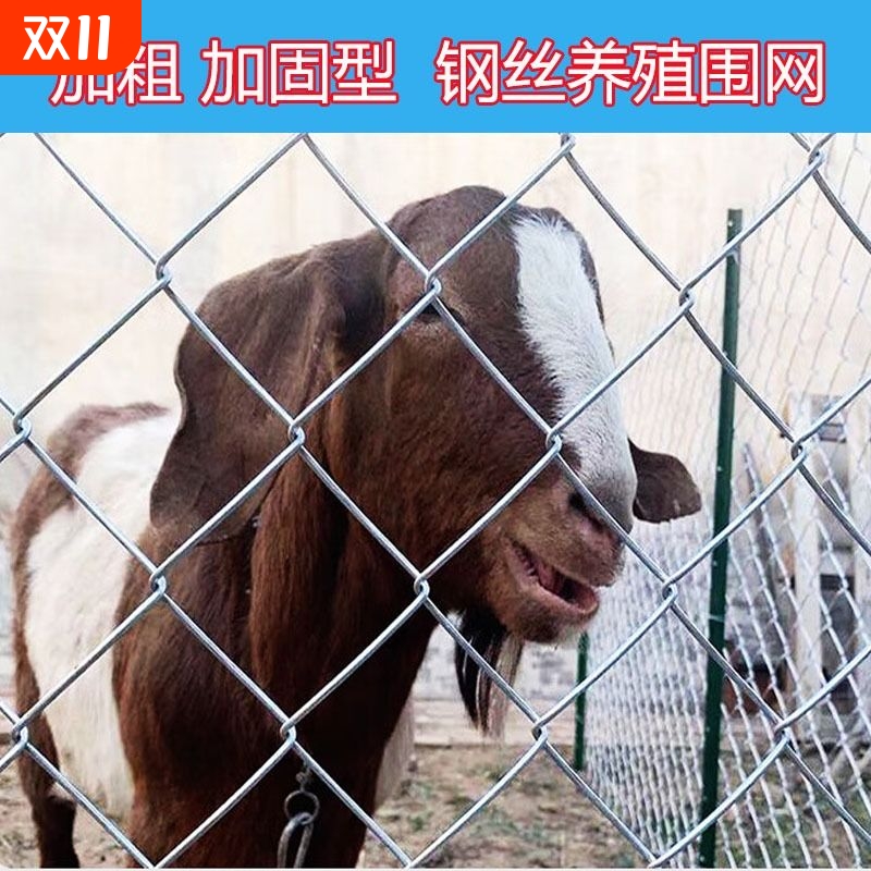 镀锌铁丝网围栏户外防护网